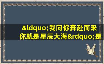 “我向你奔赴而来 你就是星辰大海”是什么意思